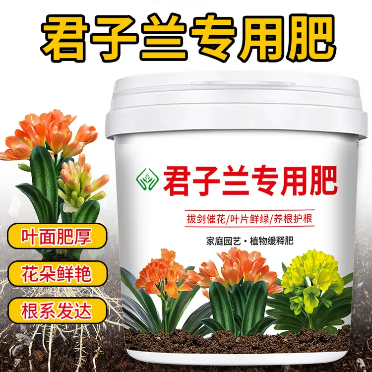 君子兰专用肥料促花催花生根花卉绿植爆盆大叶片茁壮颗粒缓释肥料