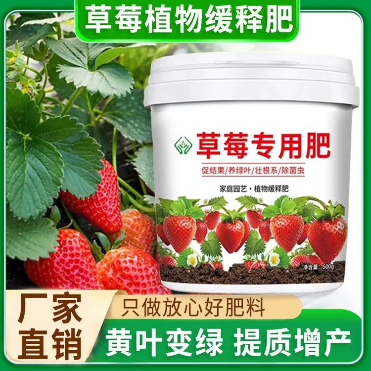 草莓专用肥料有机肥瓜果生根壮苗防黄叶植物营养颗粒缓释肥料