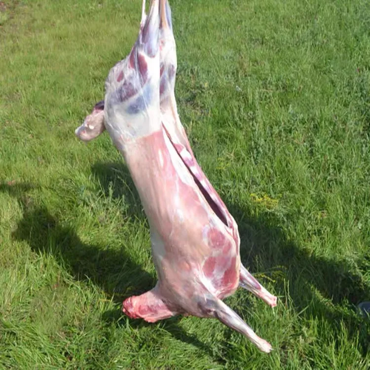 【称斤】【空运包邮】称斤专属链接