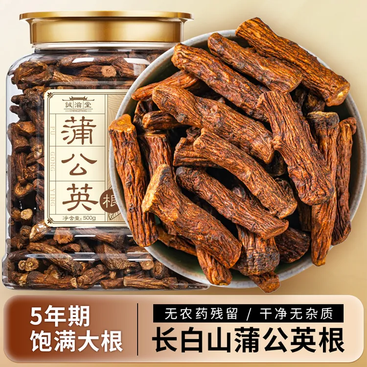 长白山蒲公英根婆婆丁根正品切片炒熟制官方旗舰中秋节礼物送长辈