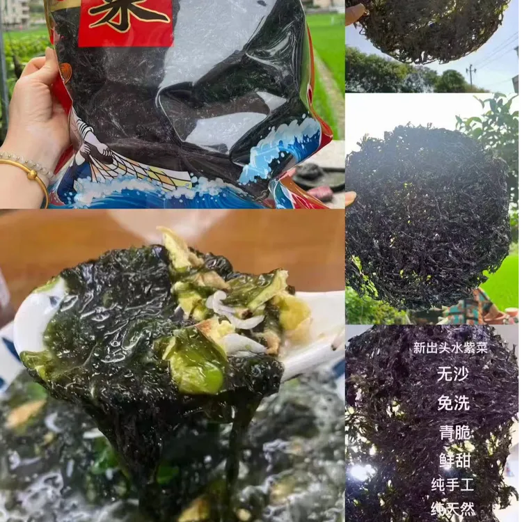 霞浦头水紫菜天然干净无沙直接免洗下锅口感脆嫩紫菜蛋花汤