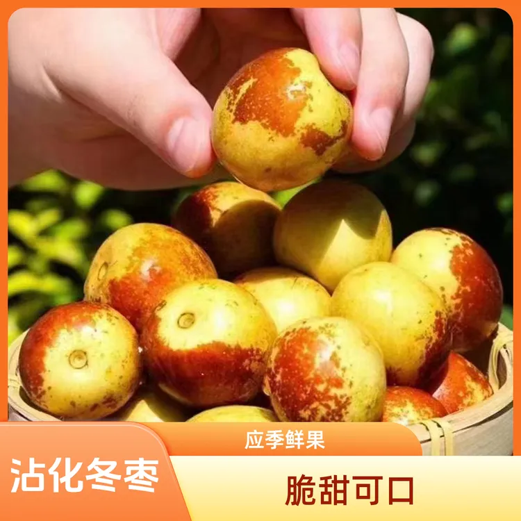正宗山东沾化冰糖冬枣露地2.5-4.5斤装脆甜新鲜应季水果