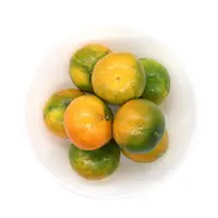 缤纷田园东江湖蜜桔 约700g