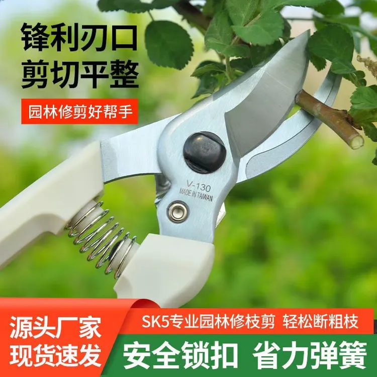 sk5钢剪枝果树超锋利枝条修枝剪修枝剪刀修剪树枝树枝专用剪刀商品图