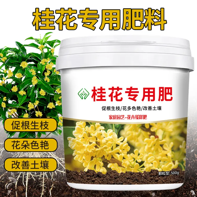 桂花树专用肥料治黄叶烂根促进根部吸收水溶颗粒缓释肥微生物菌肥