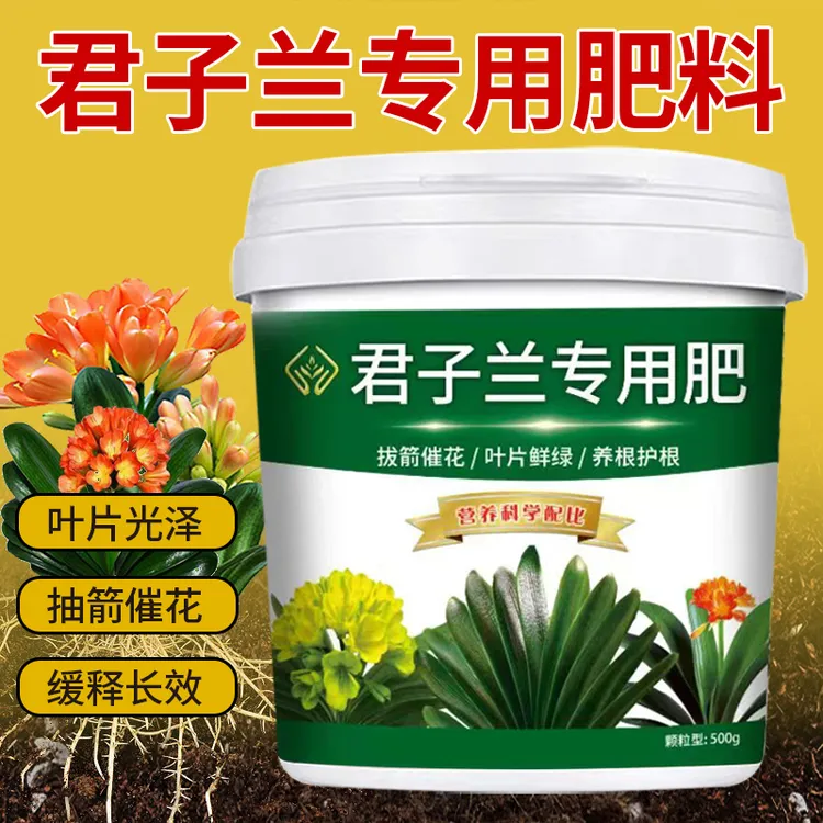 【君子兰专用肥】抽剑催化叶片光泽颗粒缓释营养颗粒有机肥料花肥