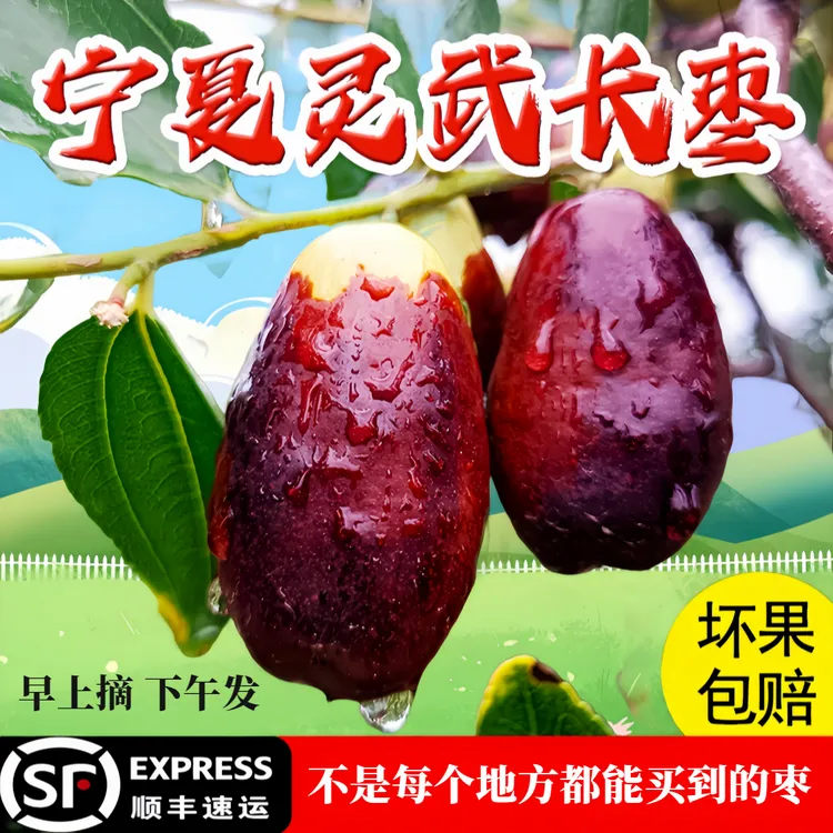 宁夏灵武枣现摘现发非冬枣子皮薄肉厚脆甜多汁当季大枣银川马牙枣
