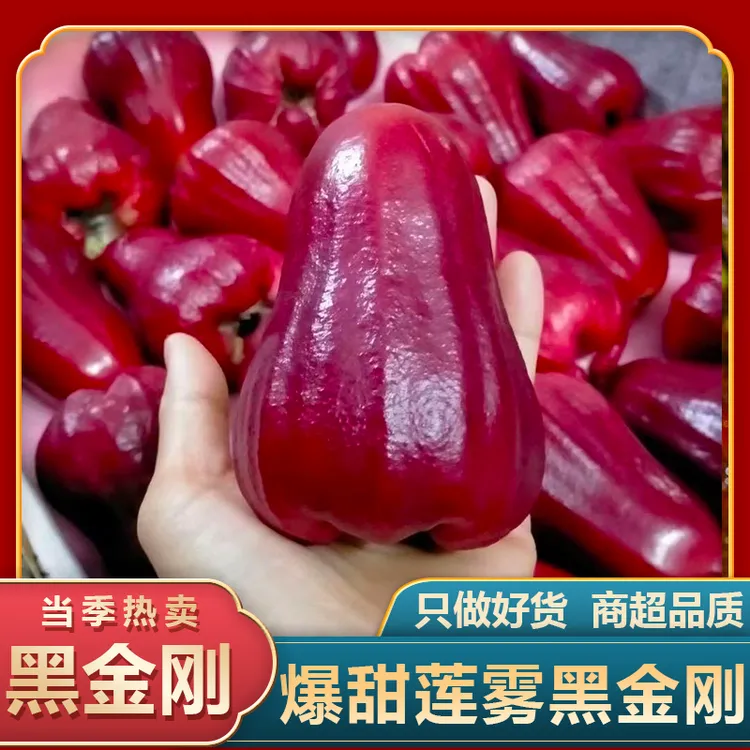 【顺丰包邮】海南黑金刚莲雾果2-5斤 新鲜热带水果特产精选水果多汁