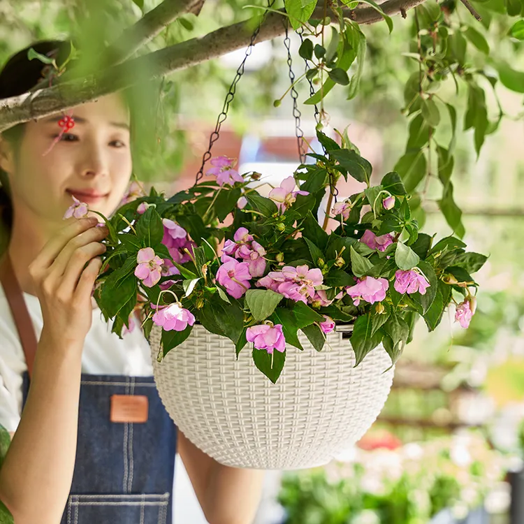 吊兰花盆悬挂式塑料藤编吊篮懒人吸水挂壁绿萝常春藤吊球加厚垂吊