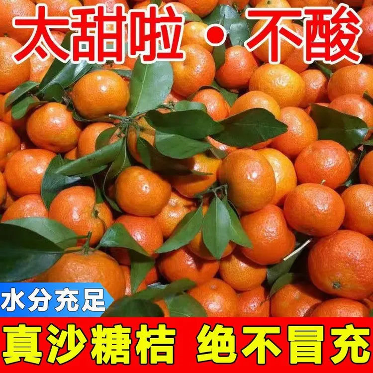 正宗广西沙糖桔水果皮薄桔子保鲜砂糖橘小橘子基地新鲜采摘甜柑橘商品图