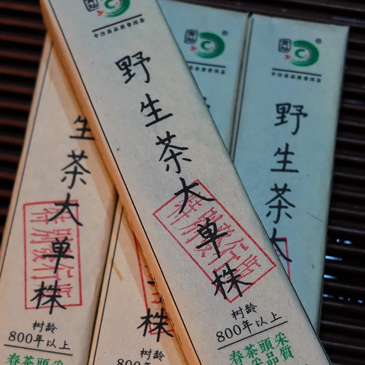 02超大野生茶古树大单株2024年头采春茶黄金条