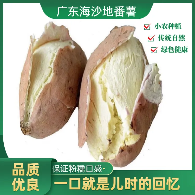 广东沙地爆皮王红薯粉糯番薯新鲜香甜番薯净重2斤5斤正宗板栗薯