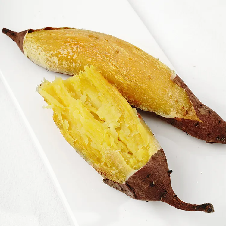 云鼎农农家种植红瑶玛莎莉正宗沙地红薯蜜薯新鲜地瓜皮薄甜糯9斤