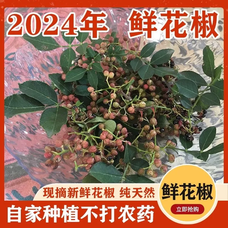 沂蒙山当地鲜花椒