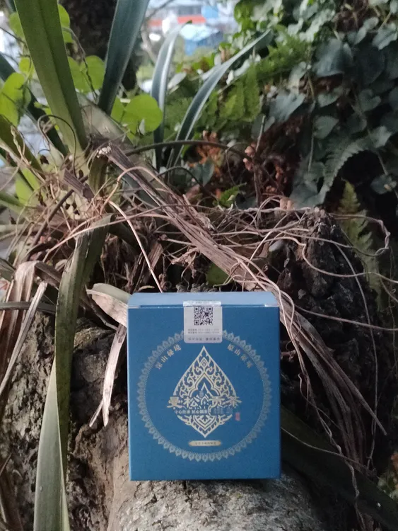 曼松贡茶 60克/盒（普洱茶/生茶/紧压茶）