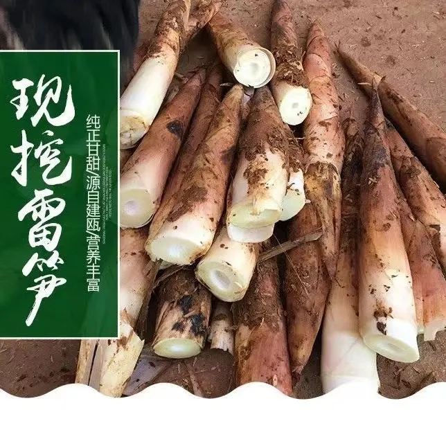 【现货热销】新鲜竹笋产地雷笋手剥笋应季时蔬 雷竹笋 春笋精品小笋