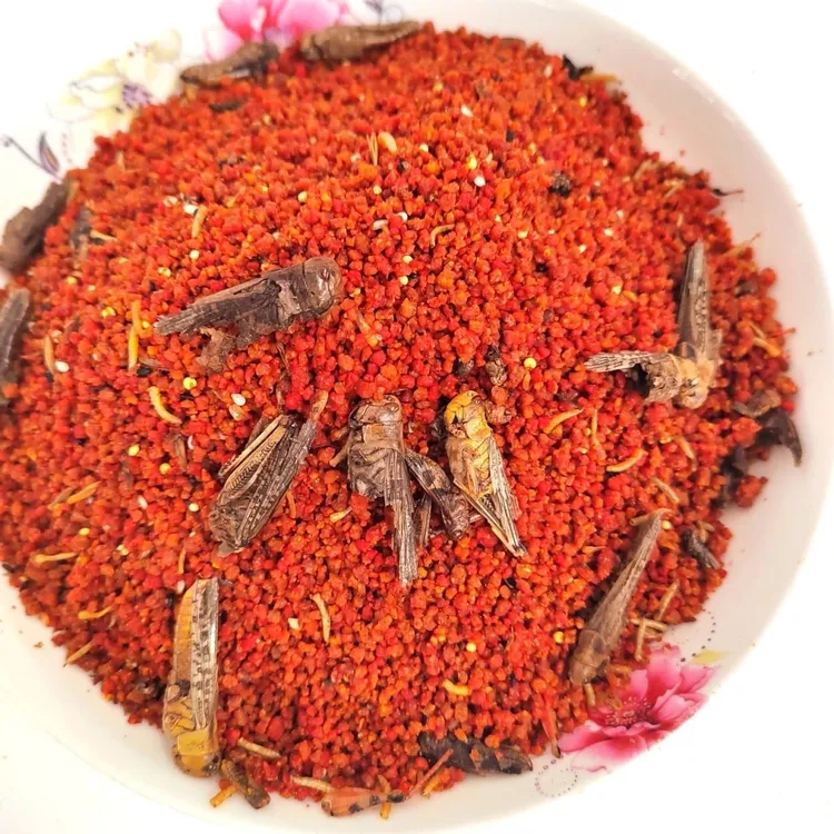打架王画眉鸟食七天开始黄嘴黄脚苗家秘料提性壮膘纯手工鸟食饲料