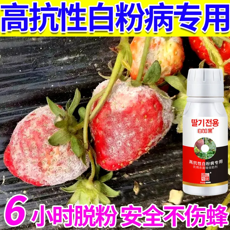 白粉病草莓专用肥微生物菌剂黄叶枯叶促根壮苗催花增产专用肥喷施
