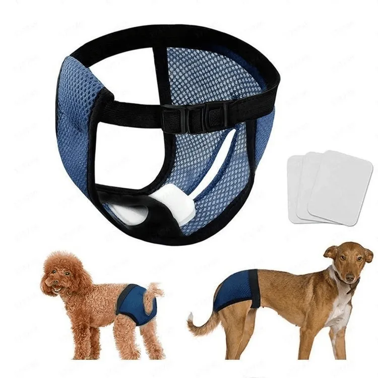 母狗可换洗薄款透气防漏方便安全裤生理期月经狗狗生理裤宠物