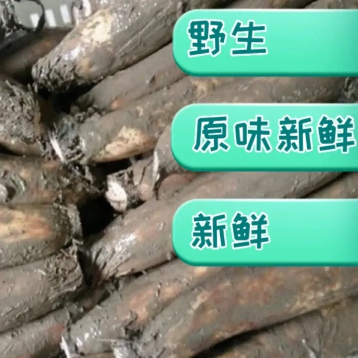 湖北粉藕嘉鱼湖藕原产地包邮