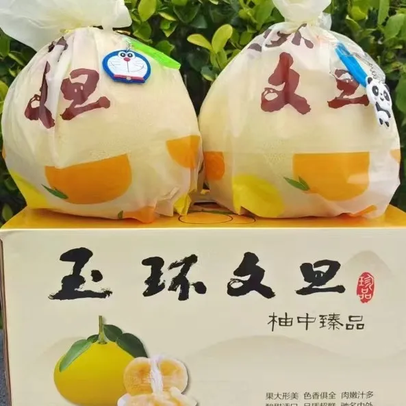 【玉环原产地直销】20年老树正宗玉环文旦柚3斤6斤13斤蜜柚送礼盒装