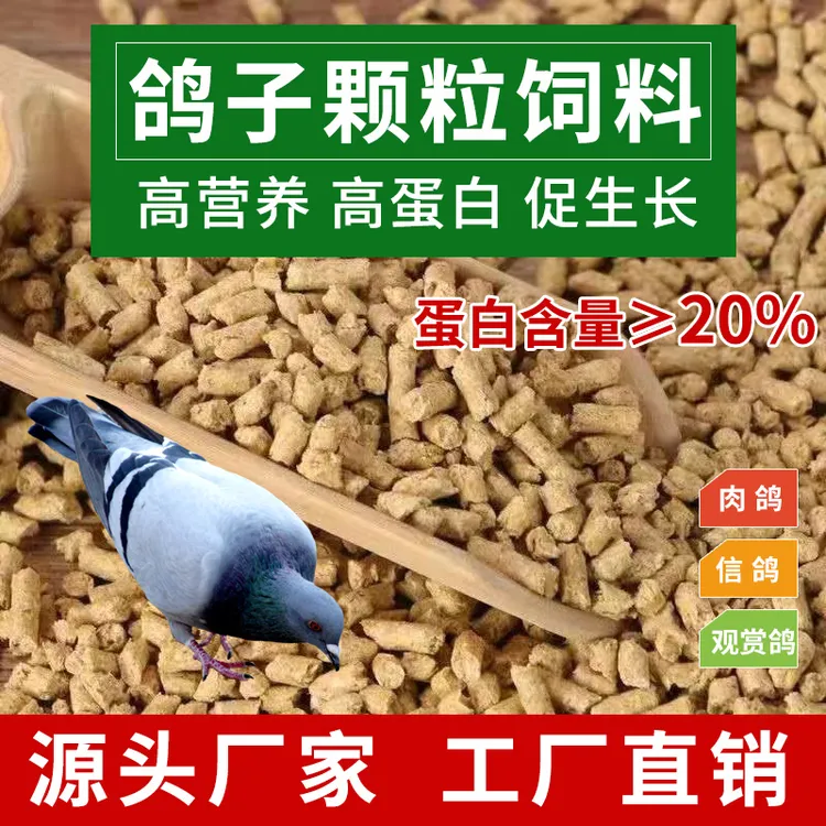 鸽子饲料优质蛋颗粒饲料补钙观赏鸽肉鸽信鸽鸟粮通用高蛋白幼鸽料