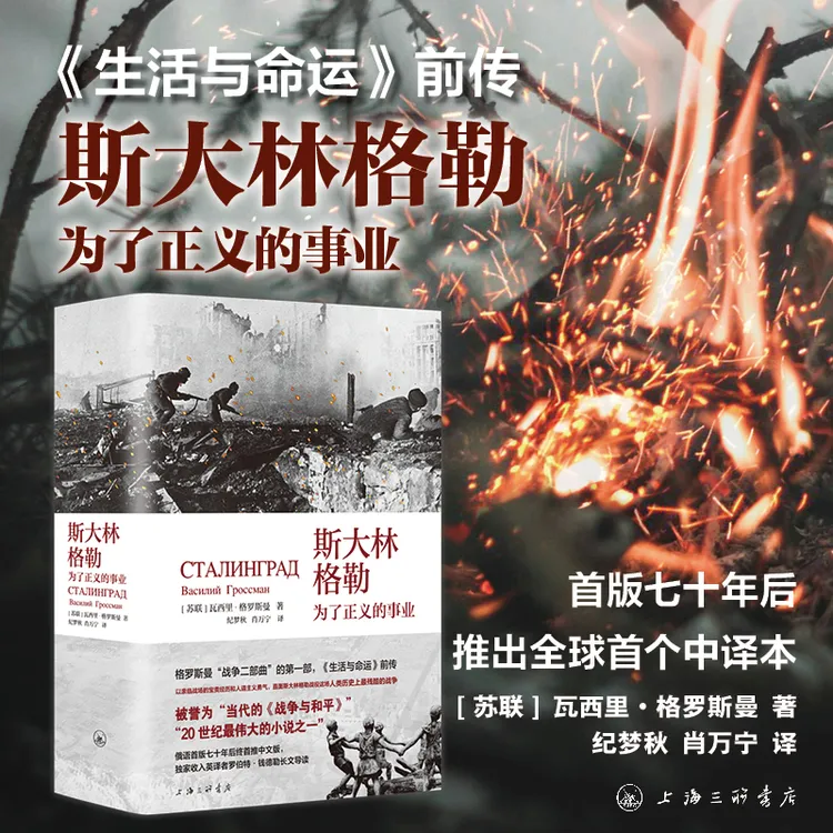 【赠人物关系图】斯大林格勒:为了正义的事业 《生活与命运》前传