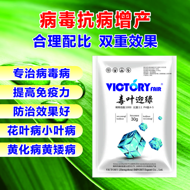毒叶迎绿病毒西红柿辣椒黄瓜卷黄叶落小叶花叶微生物菌剂活化抗逆