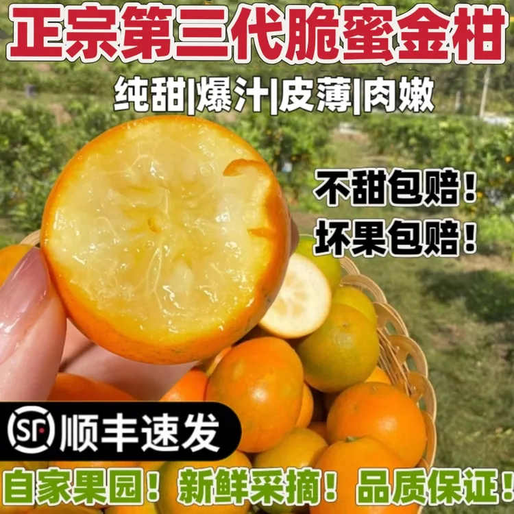 【顺丰包邮】正宗广西第三代脆密金柑融安金桔新鲜采摘纯甜无酸金桔