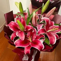 双头【黑美人】颜色鲜艳 好开好养 香味浓郁 大红色