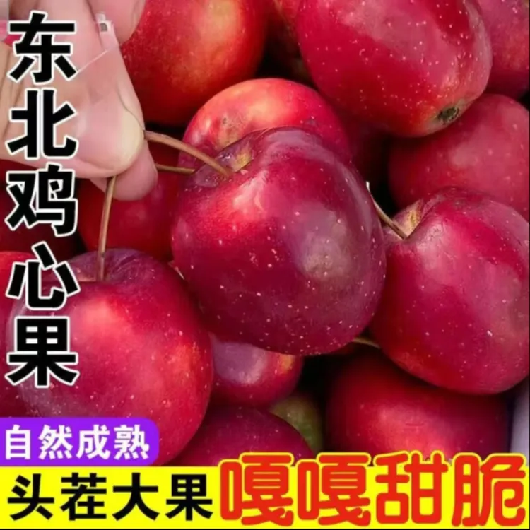 东北特产 鸡心果 当季水果 新鲜采摘发货
