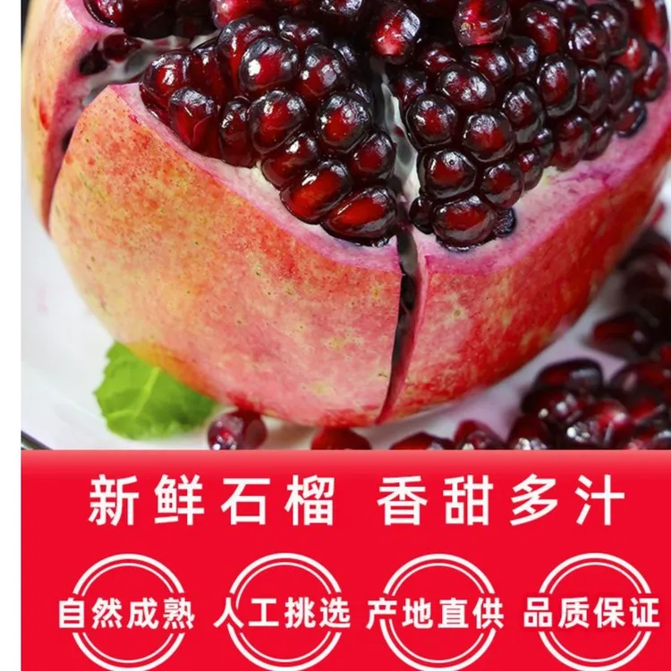 七姐家四川会理石榴 新鲜水果突尼斯软籽石榴  {树上鲜果} 爆甜