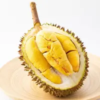 黑猫组合 冷冻保存 马来西亚进口液氮进口