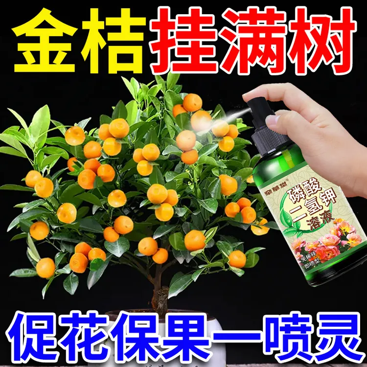 金桔盆栽专用肥年桔营养液促开花防黄叶落果磷酸二氢钾有机复合肥