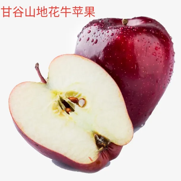 甘肃甘谷高山苹果现摘脆粉两吃新鲜多汁当季水果9斤装