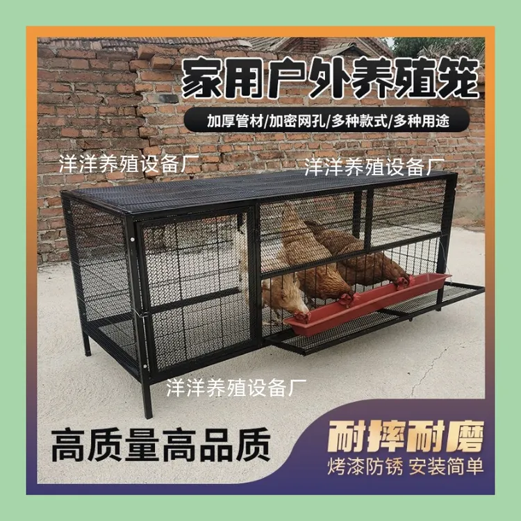 防锈烤漆室外家用鸡笼鸭笼子笼可探头吃食防黄鼠狼现货可笼外喂食