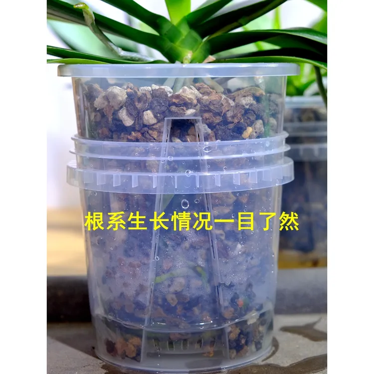 蝴蝶兰专用花盆简单养护套装青山盆加桶带植料水培法浇水自由包教
