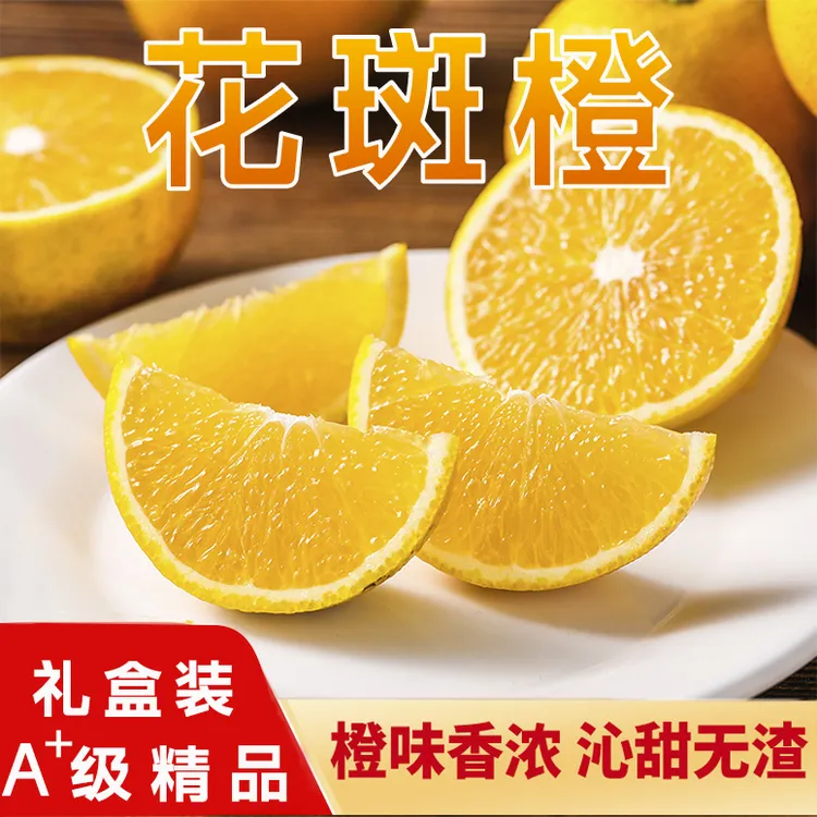 【旗舰甄选】云南褚家花斑橙子正品高原香甜爆汁精选皮薄无渣应季
