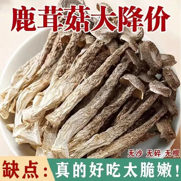 【当季新鲜】鹿茸菇干货500g包邮古田高品质脆脆菇煲汤爆炒涮火锅