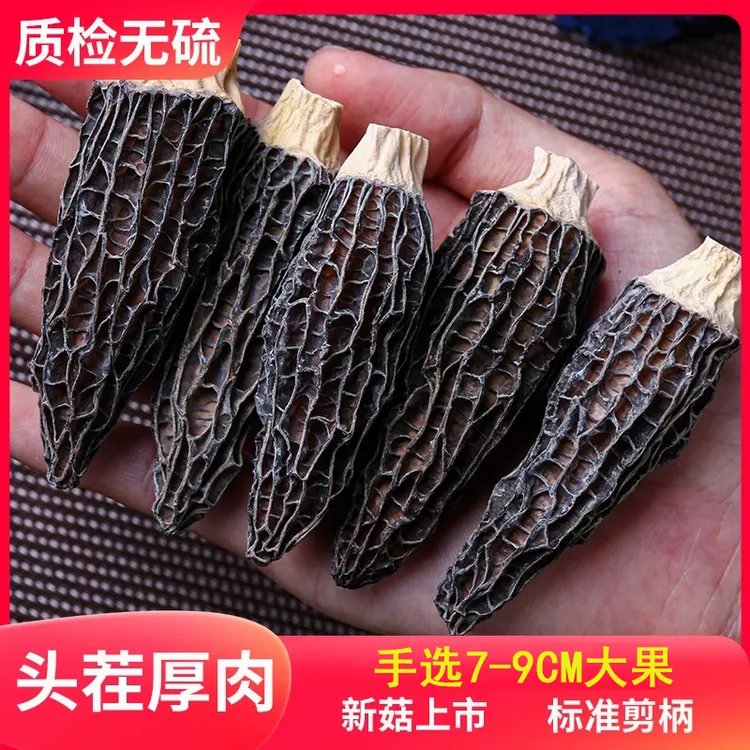 精品手工挑选云南羊肚菌干货新货菌菇新鲜精品箘礼盒50g