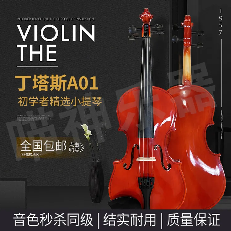 DINTAS/丁塔斯A01学生初学者小提琴儿童成人入门学习练习考级乐器