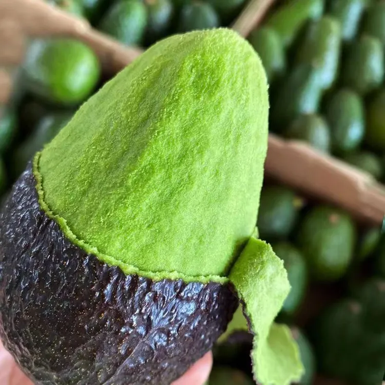 【新鲜采摘】正宗云南哈斯牛油果 新鲜应季水果孕妈宝宝辅食70-220g