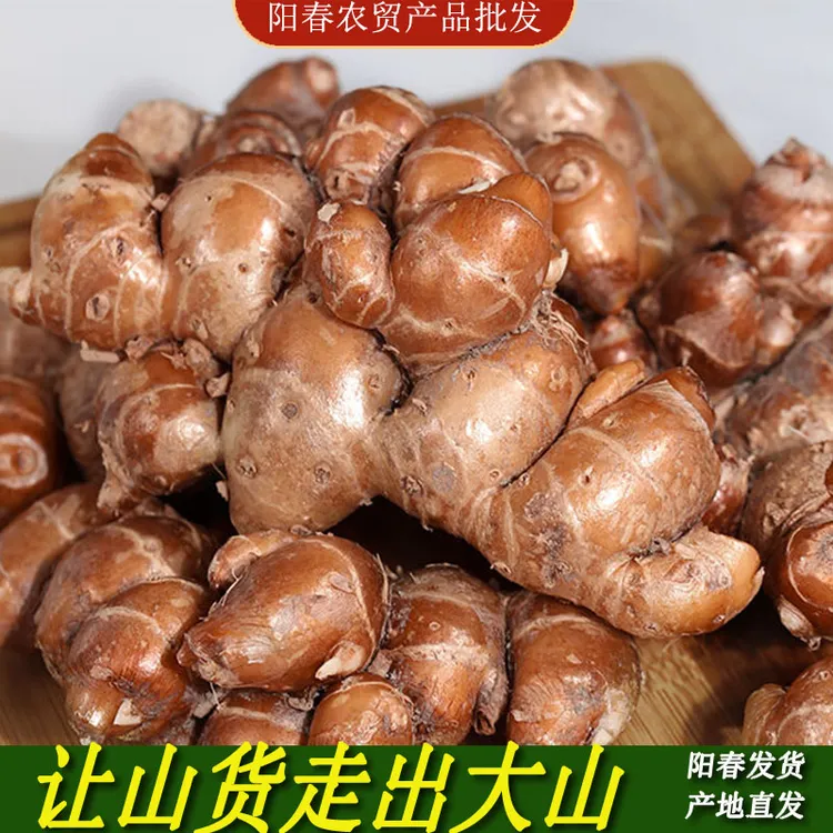 广东深山沙姜新鲜现挖山地种植沙姜椰子鸡白切鸡调味配料1-3斤