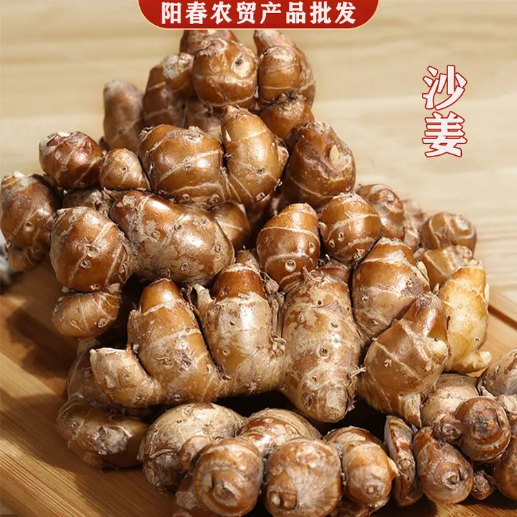 沙姜新鲜包邮沙姜现挖0.5-5斤包邮老姜山奈白切鸡椰子鸡香料调味