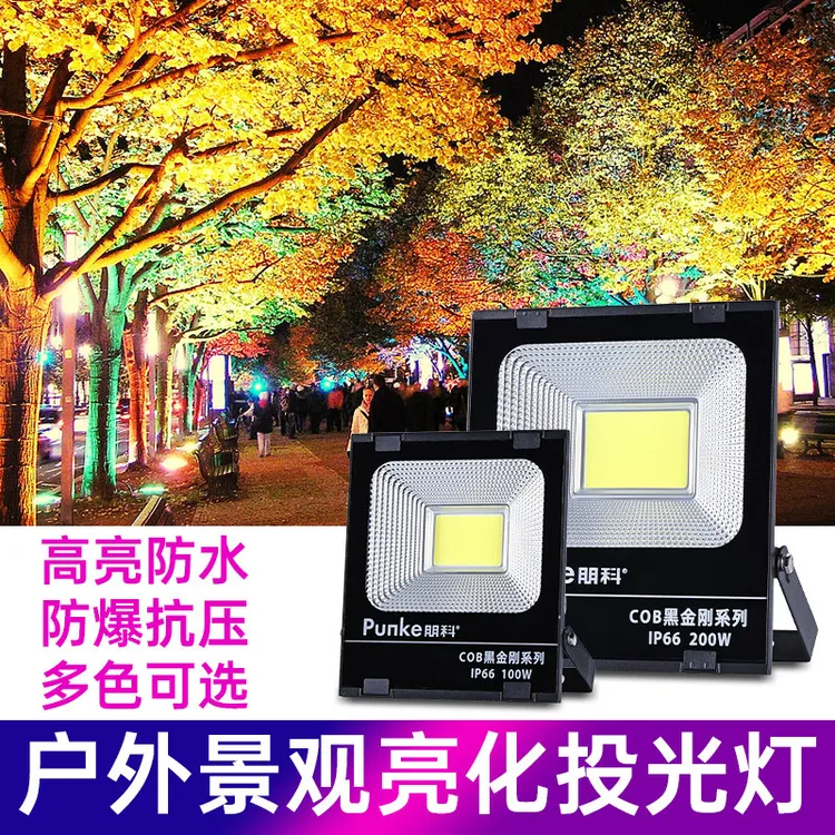 LED黑金刚COB投光灯大功率户外防水草坪绿化景观七彩投射照树灯