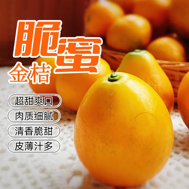 【2斤装】正宗融安三代脆蜜金桔当季果纯甜保温箱包装