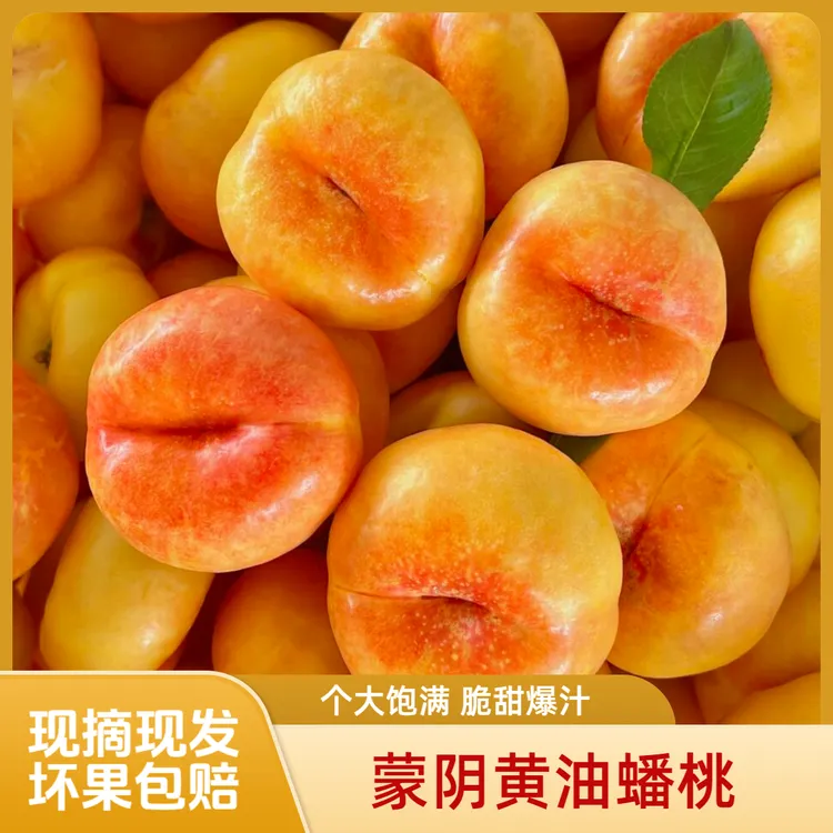 【顺丰快递】蒙阴油蟠桃扁桃脆甜现摘孕妇水果果园黄桃新鲜香甜多汁