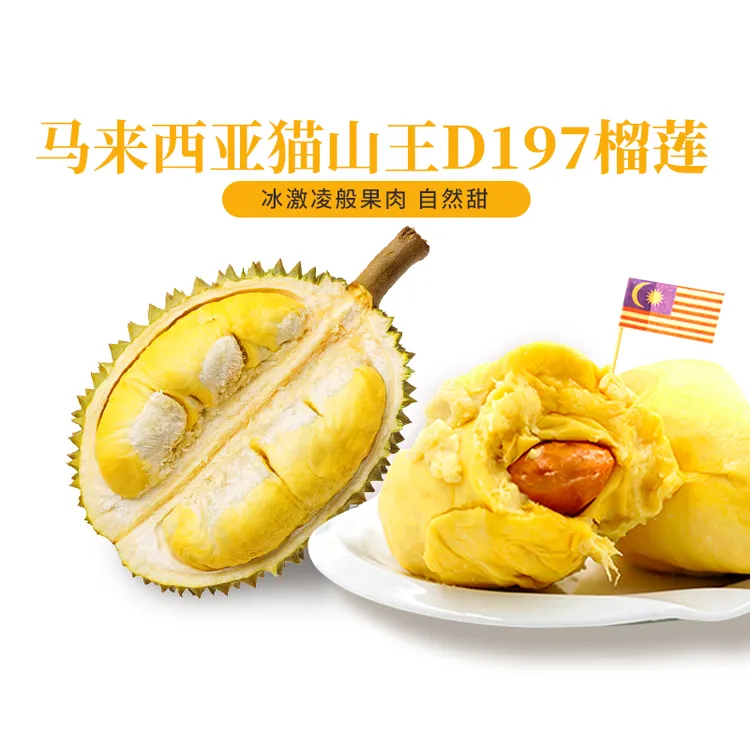 D197猫山王口感甘榜马来西亚进口液氮冷冻锁鲜香水果当季新鲜即食