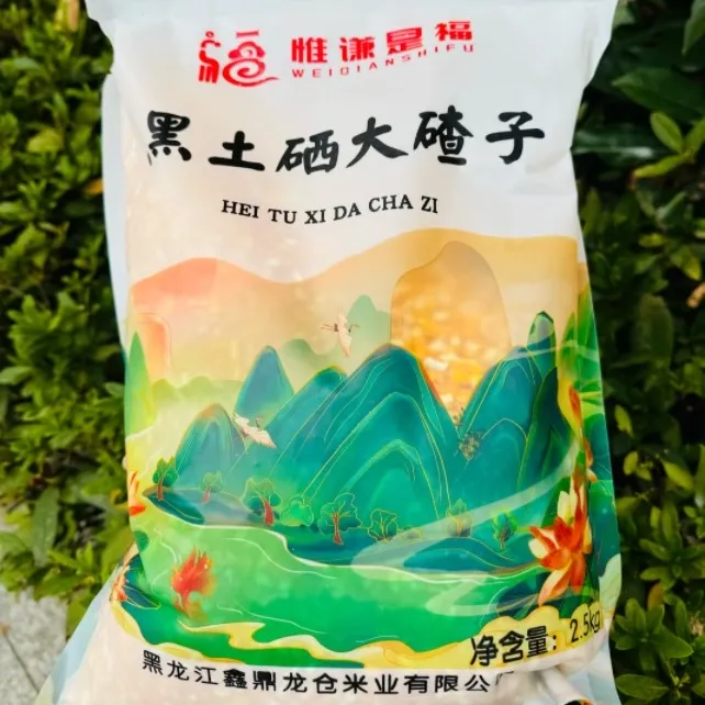 山峰老师粉丝专属 黑土地玉米大碴子