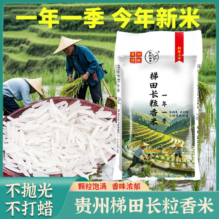 【一年一季长粒香米】贵州梯田长粒米农家米大米软糯10斤